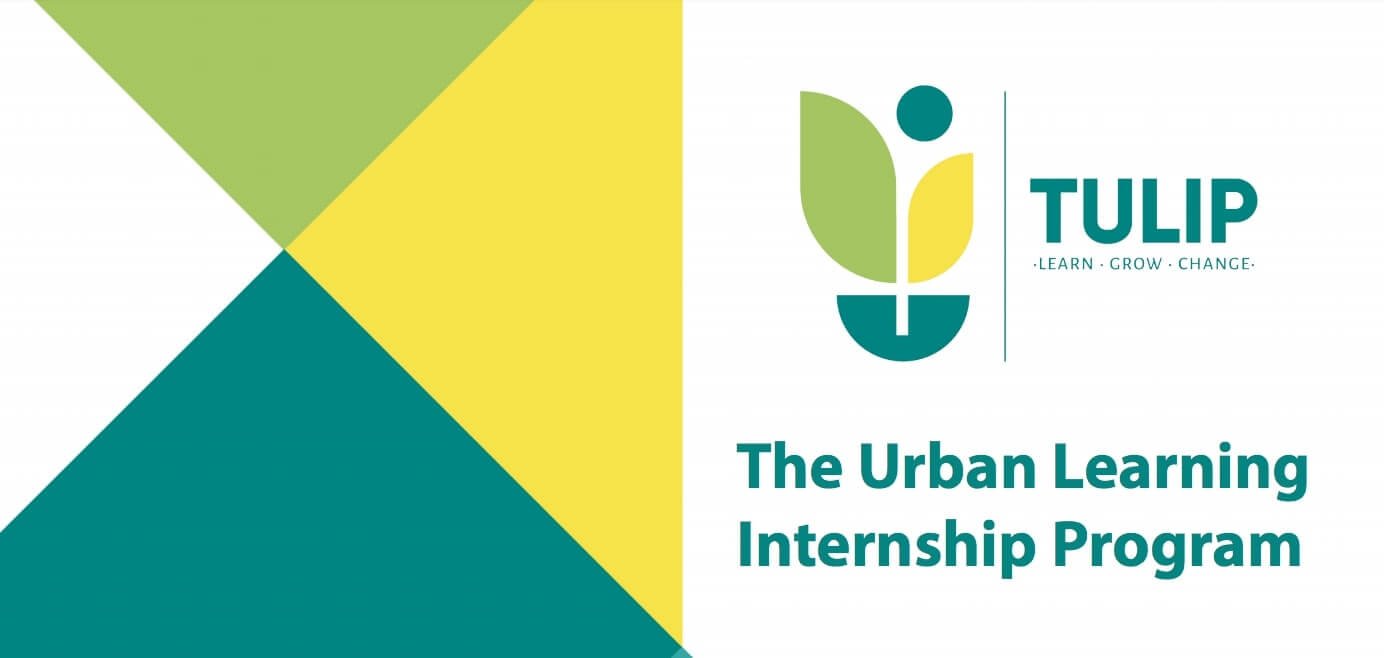 TULIP Internship Program